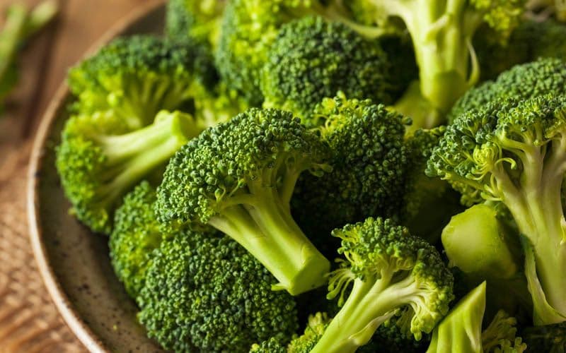 Beneficios de la vitamina B9 para los perros