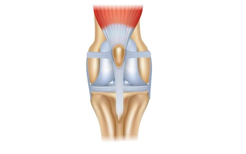 Los músculos estabilizadores favorecen la salud articular.