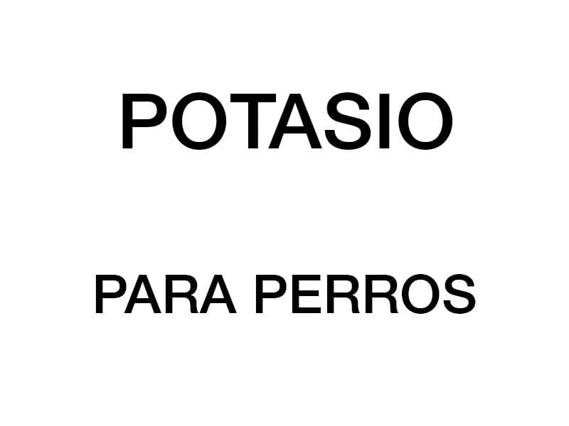 Funciones del potasio en el cuerpo de un perro